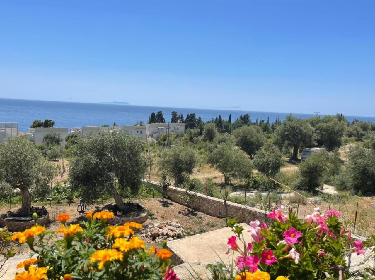 Exclusive Greccia Inn Dhërmi Eksteriør bilde